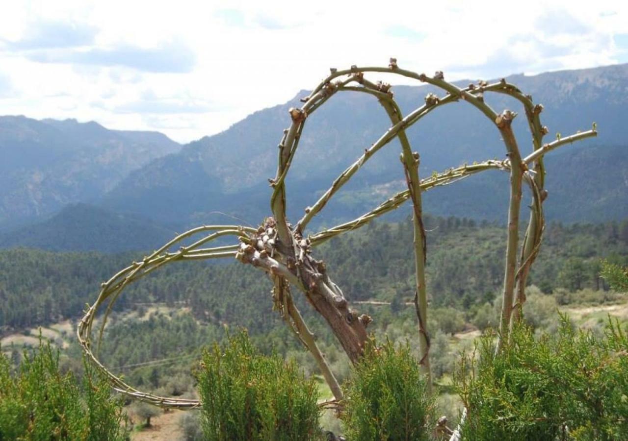 Casas Rurales Mirador Del Mundo Yeste Exterior foto